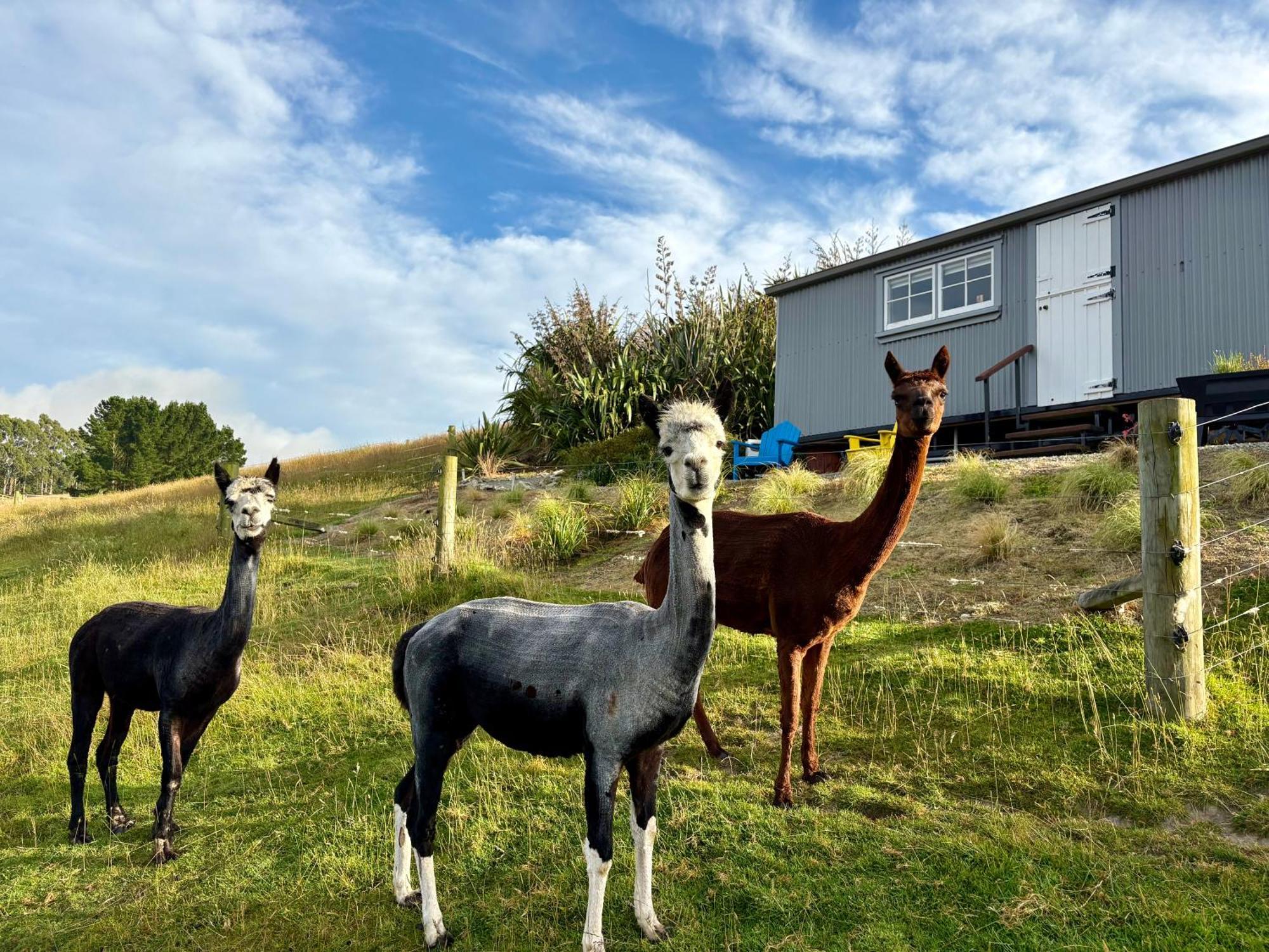 The Shepherd'S Rest Hotell Oamaru Exteriör bild